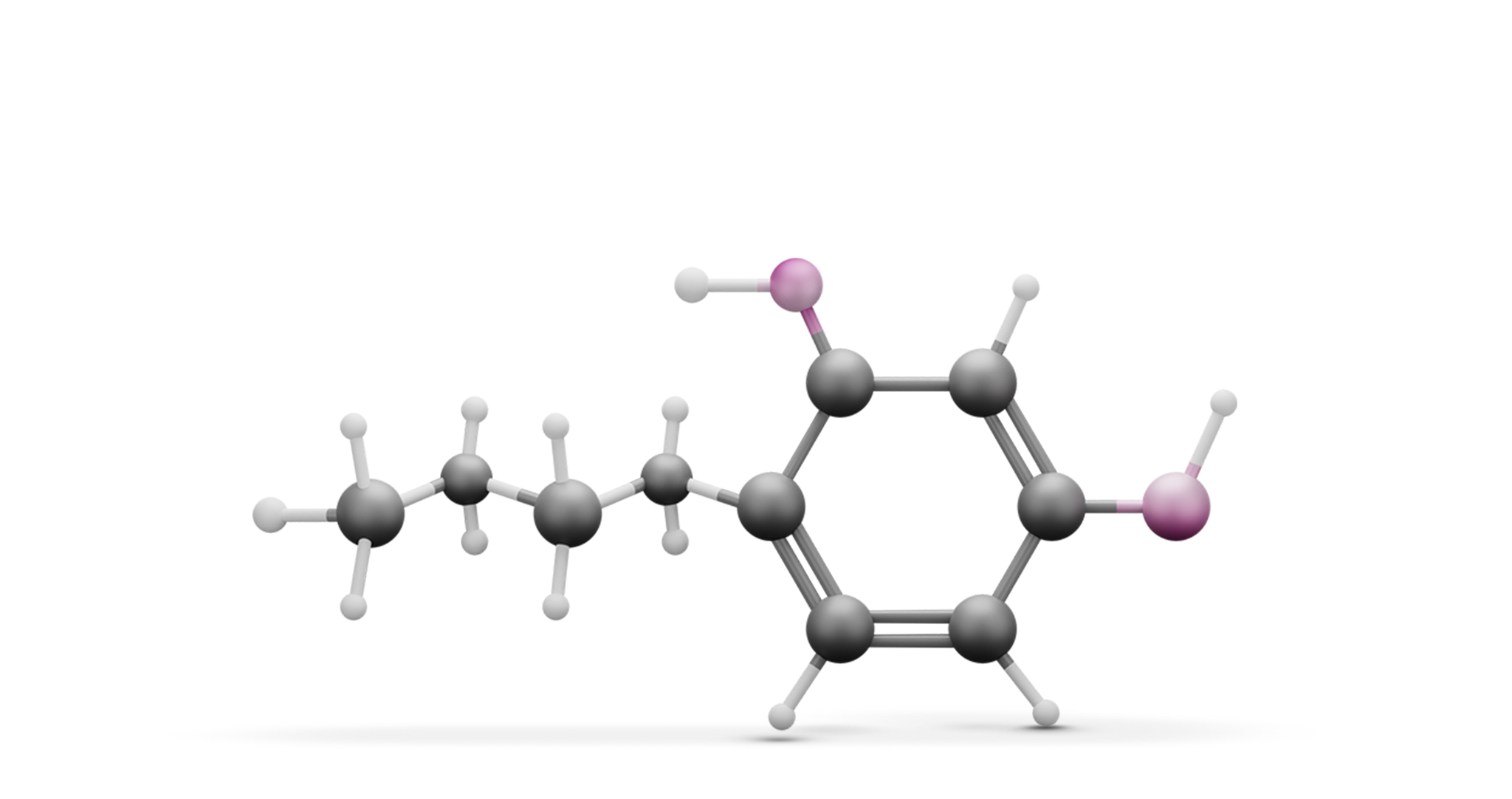chemical symbol for 4-n-butylrescorcinol that is used in our Enlighten product