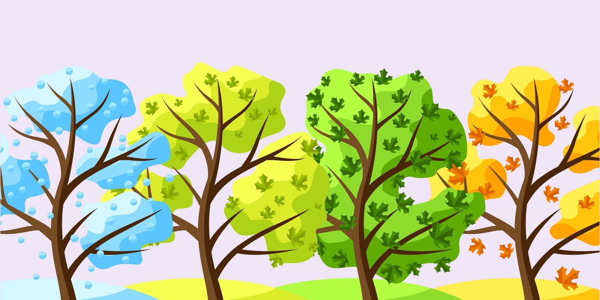 Seasonal Changes Blog